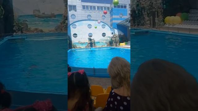 26 августа 2019 г.