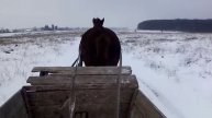 Коні:пробую їхати саньми