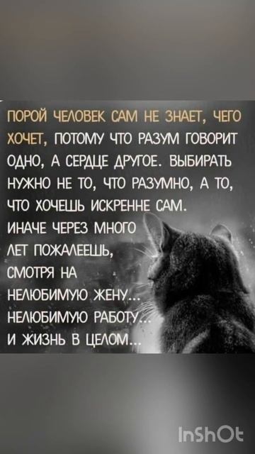 Мудрые слова