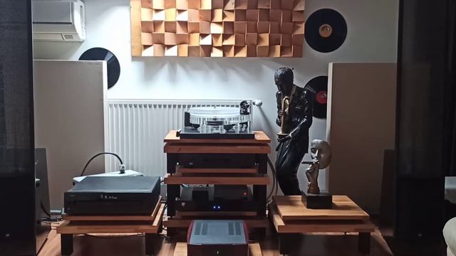 MARTIN LOGAN ESL !!