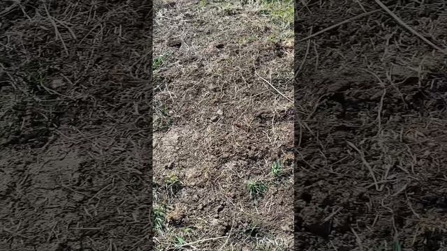 Утренний фитнес. Подготовка делянки под землянику. 2 часть.