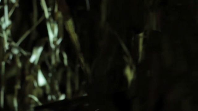 paPaya BiZaRRa's Films Demo Reel 2012 - NDEM