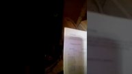 Выращивание перепелов.