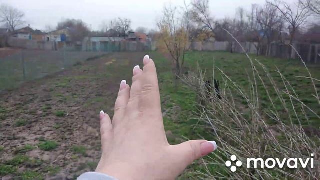 Туды, сюды, бездельница почти 😏
