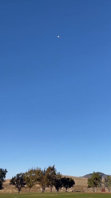 fun with the timber  evolution