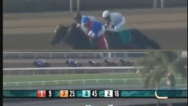 Lily - 2016 Santa Anita Maiden Race - Eighth Place Finish