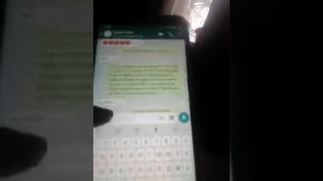 переписка с фейком лизы стриж