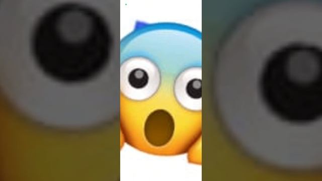 1000141675.mp4