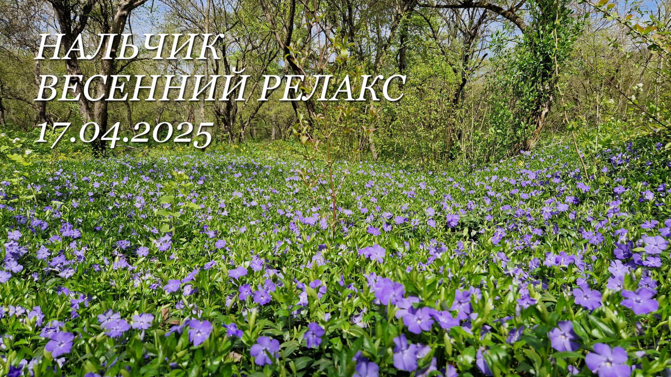 Нальчик, весенний релакс, 17.04.2025г.