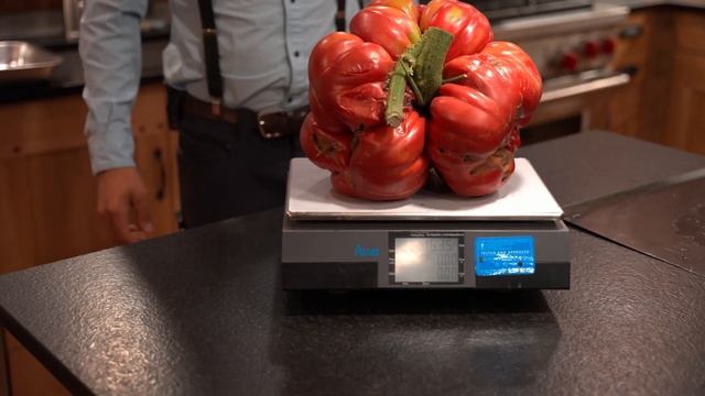 WORLD'S BIGGEST TOMATO! 17.15 lbs! I CUT OPEN the BIGGEST GIANT TOMATO IN THE WORLD! WHAT'S INSIDE?