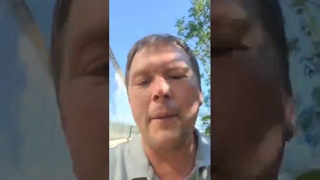 Whats Up Wednesday 6 30 21   Summer Water Conservation Tips   Soil Ammending & Planting