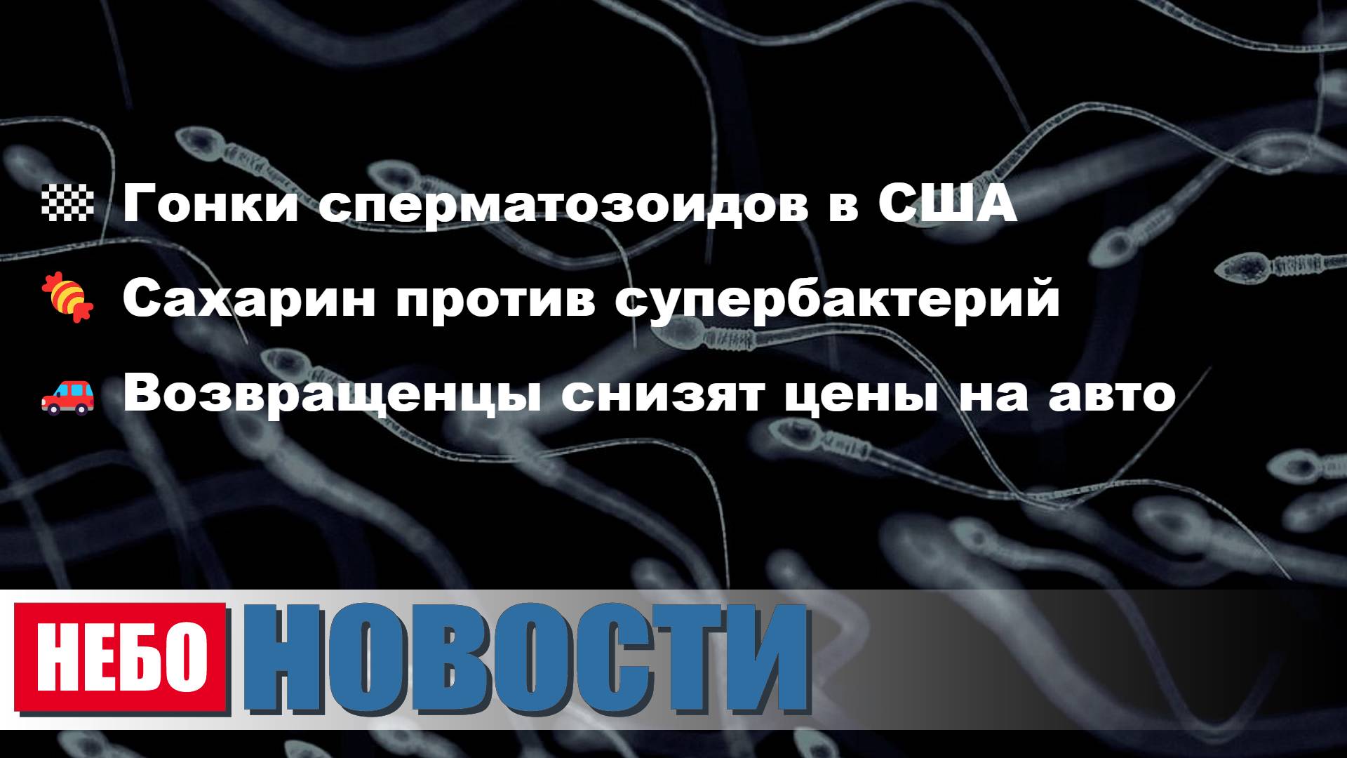 Гонки сперматозоидов | Сахарин против бактерий | Цены на авто из КНР | Звуковая пушка в Сербии