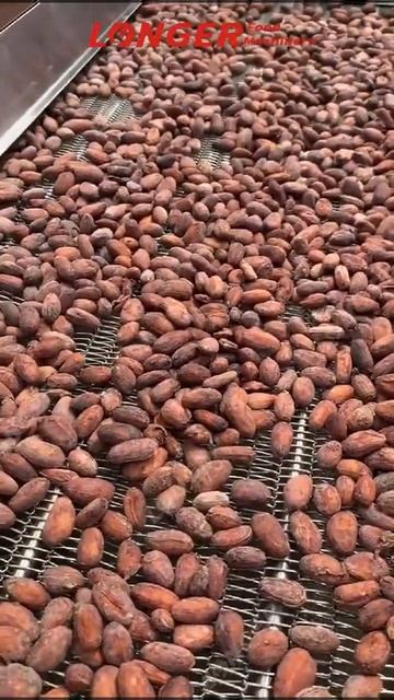 Conveyor Belt Cocoa Roasting Machine