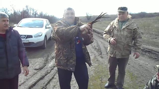 Выпуск фазана / 1 часть