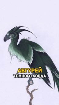 Авгурей Тёмного Лорда #shorts #гаррипоттер
