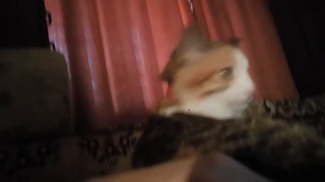 Дуся 2