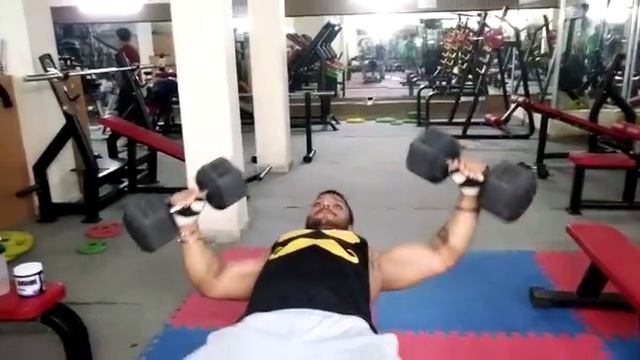 DB fly 40 lbs