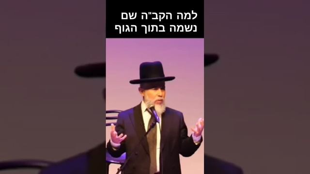 למה הקב"ה שם נשמה בתוך הגוף - הרב זמיר כהן