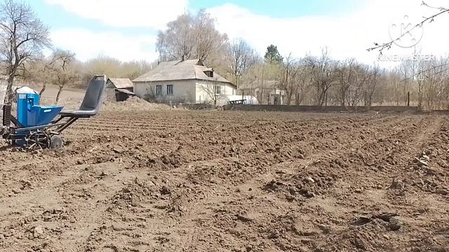 Сажаем картофель минитрактором, картофелесажалка от мотоблока.