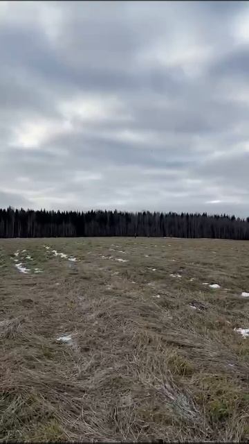 Спортивные достижения Садовник Дарьи