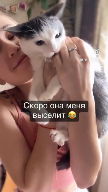 Она главная в доме 😂 #кошкамаруська #кошка #funnycats