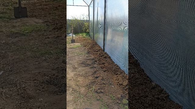 моя первая теплица ( 3 )