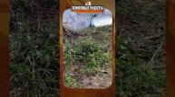 Парковка из брусчатки — делаем «как себе» | 120 м² | До и после