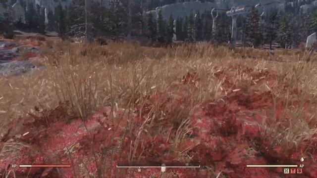 Where to find and how to farm for Gourd Blossoms in Fallout 76