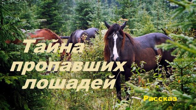 Тайнапропавших лошадей.. 1 (рассказ)