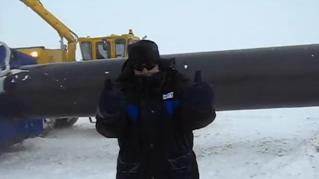 муравей и ко ЯМАл