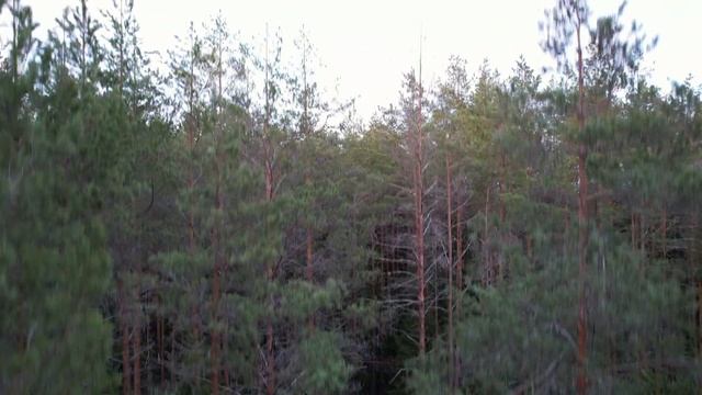 1000070539.mp4
