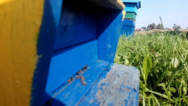 Хороший взяток в сентябре!!! 10.09.2018!!!
