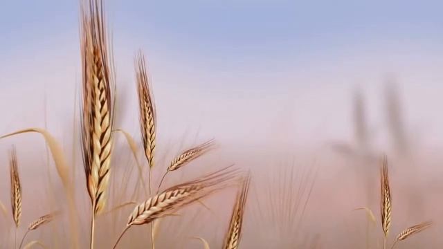 Футажи для видеомонтажа фон