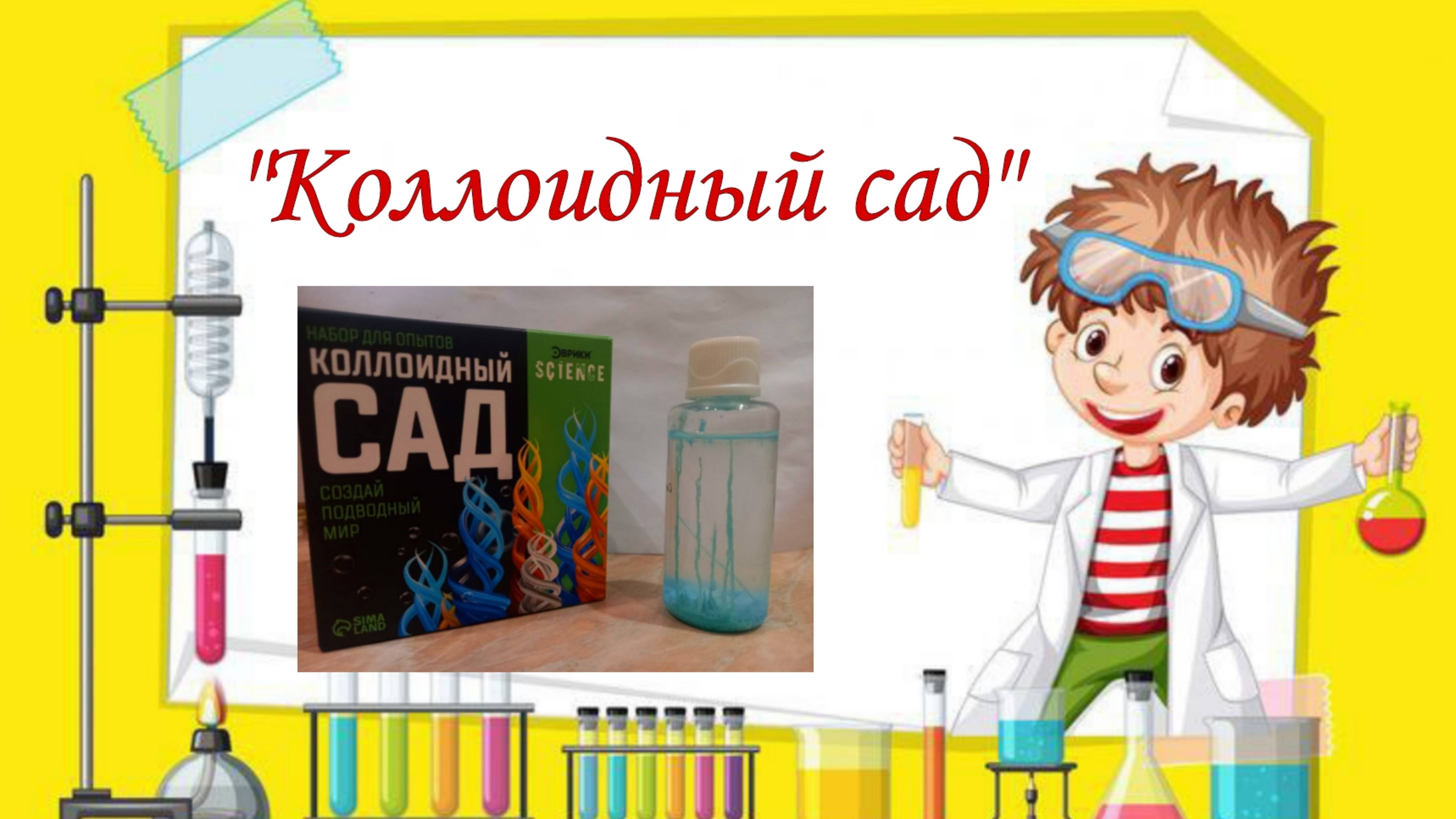 Химический эксперимент "Коллоидный сад"