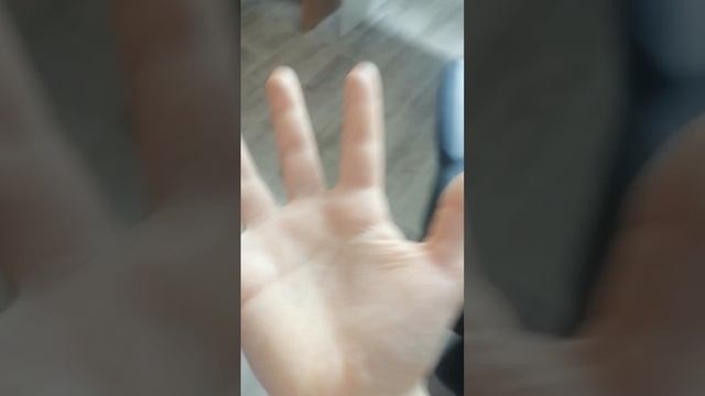 Питомцы