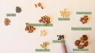 UN International Grain Legume Day 2022