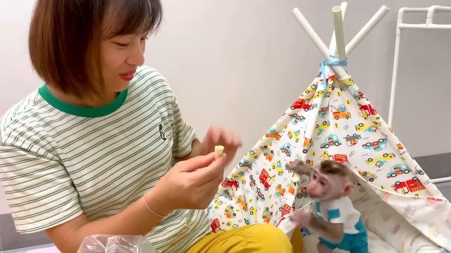 Monkey Puka is afraid of the smell of durian