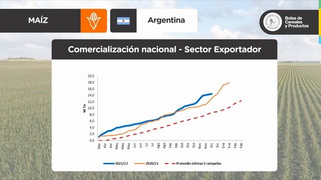 RAE de MAÍZ | PRIMAS SOBRE ROSARIO PRÓXIMAS A LOS 27 U$S/TN | Bolsa de Cereales de Bahía Blanca