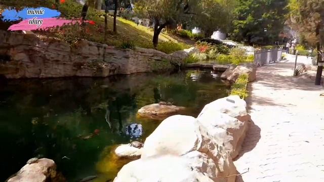 HONGKONG PARK (beautiful small garden)