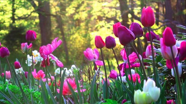 Garden in May ~ Relaxing Piano Music