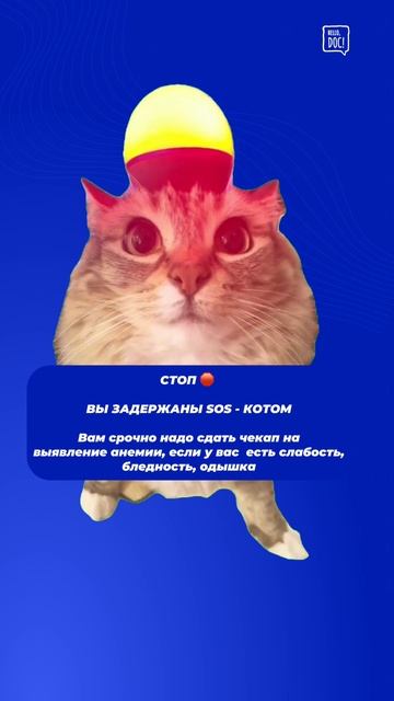 Непроходящая усталость? Возможно, дело в анемии!