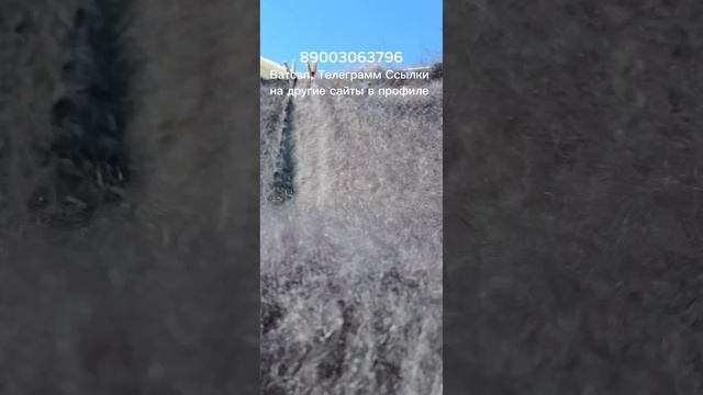 Пуховые платки, пуховые косынки, пуховые изделия, шерстяные изделия