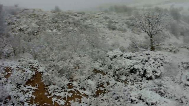 21.12.2019 Keklik Ve Tavşan Avımız. Partridge And Hare Hunting.