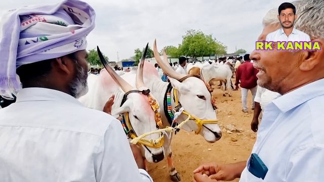 అయిజ గురువారం ఎద్దుల సంత-ieeja bulls market-oxen prices-ieeja market-ieeja cattles market in india