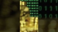 Turn $1000 into Crypto Gold! #bitcoin #crypto #mining #trading #ton