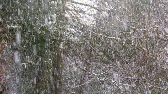 February Snow