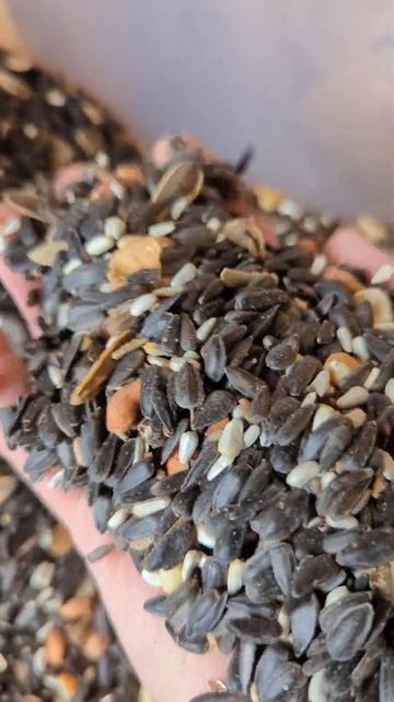 The Blend: Safflower, Black Oil Sunflower, Striped Sunflower, Peanuts.