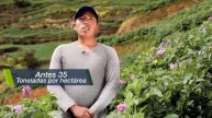 Elvis aumentó los ingresos de su cultivo de papa con Bayfolan® Power | Agro Bayer Perú
