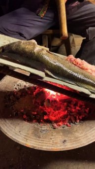 how to extract oil from fish | #asmr #food #satisfying #cooking #crafts #nature