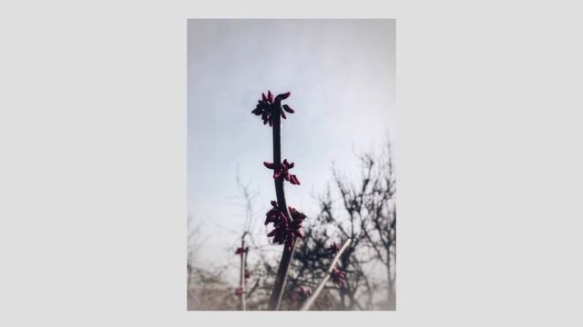 Angrymomattack - All Things (Slowed + Reverb)